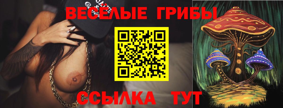 Псилоцибиновые грибы Magic Shrooms Петрозаводск